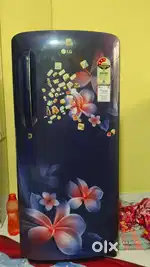 L G fridge