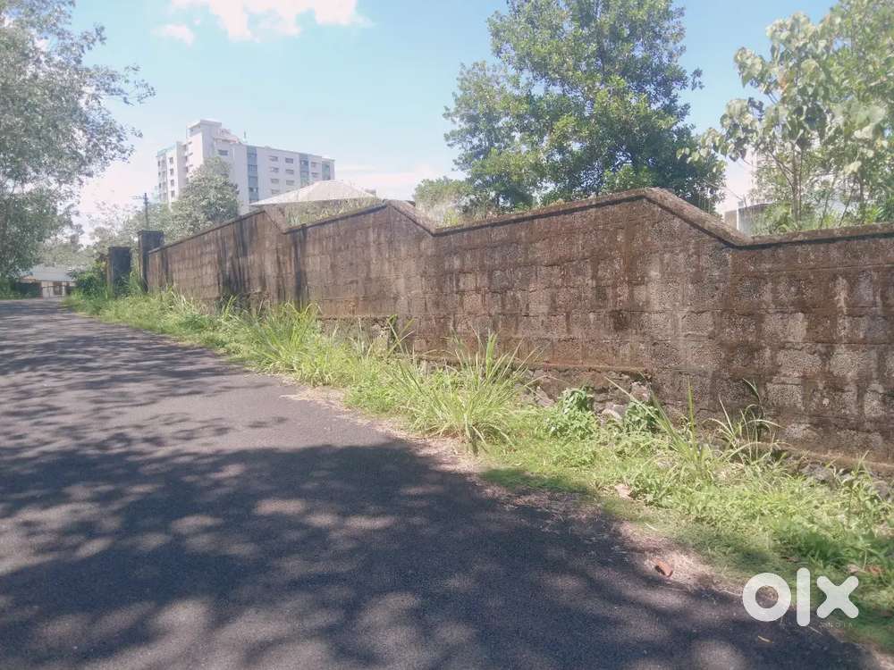 LAND FOR SALE 30,15,10 CENTKAKANAD THENGOD MAINE ROAD 200 MEETER ONLY