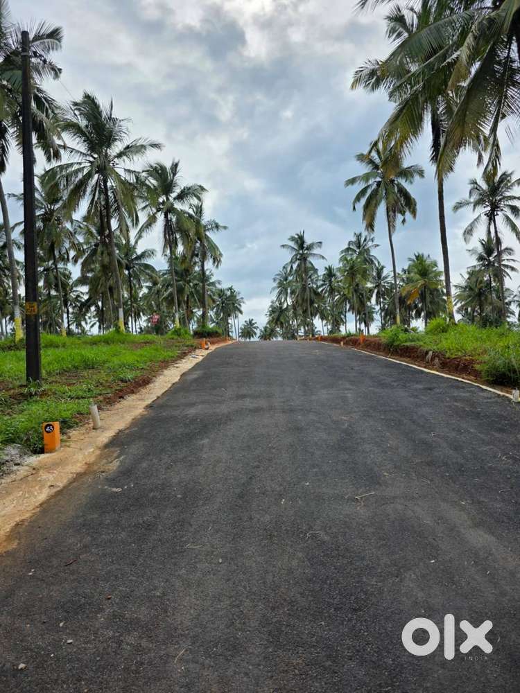 Premium plots for sale in Mannarkkad