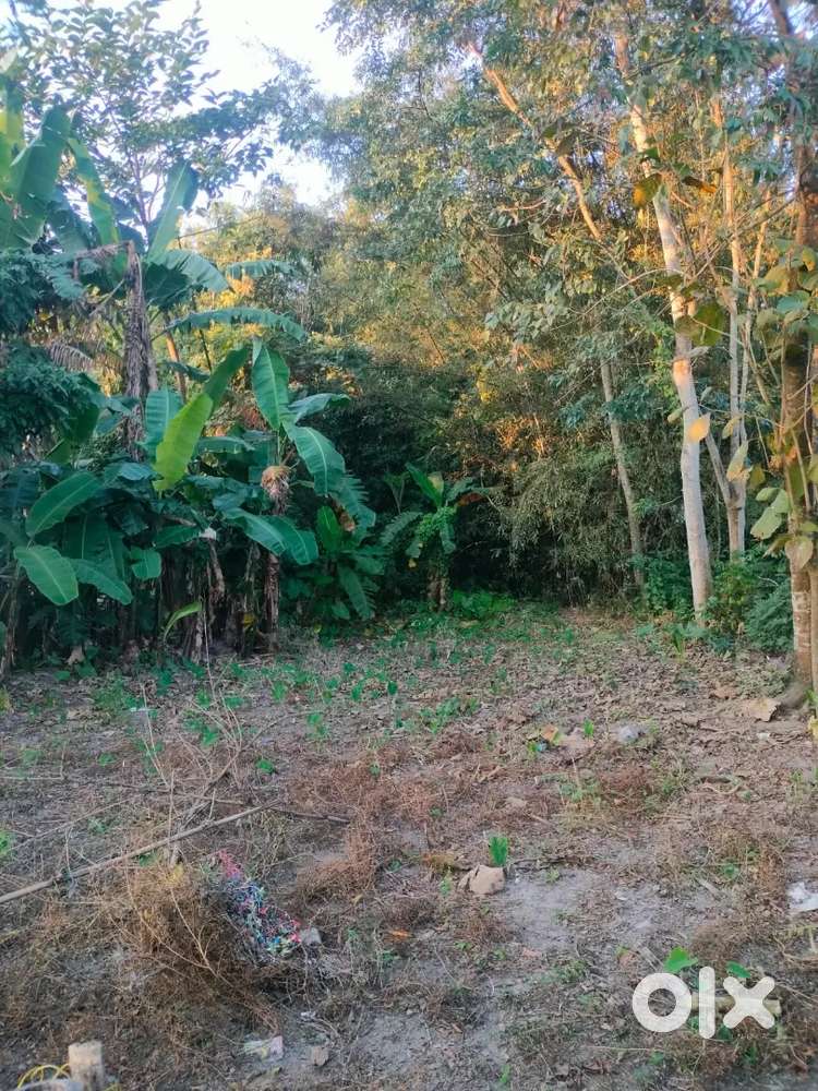3 kotha land with Assam type house