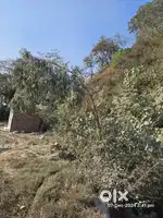 17 marla plot near DAV school Salasi