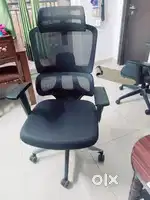 Excutive Chair - my frido brand