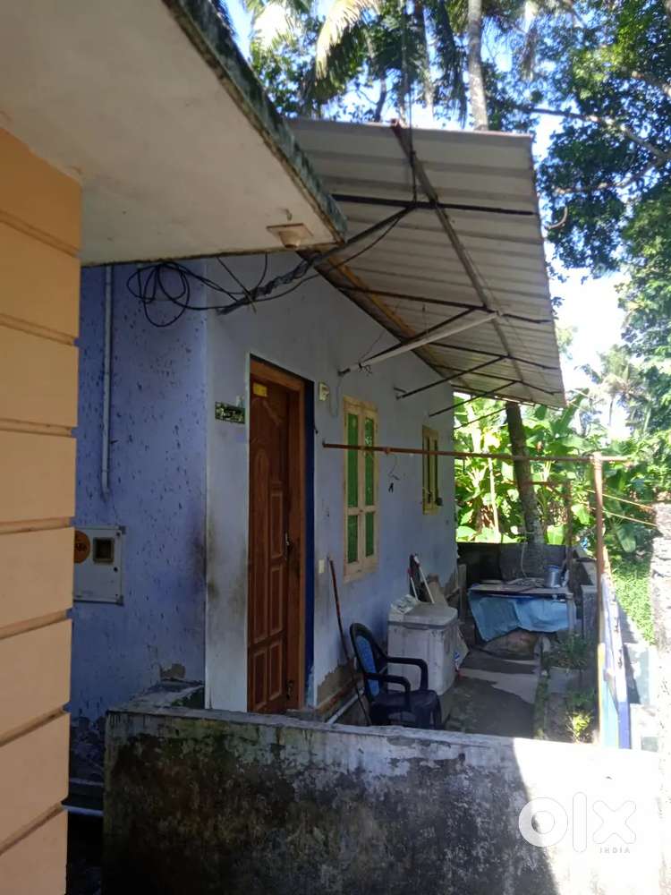 1 bhk house for lease