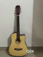 Acoustic guitar