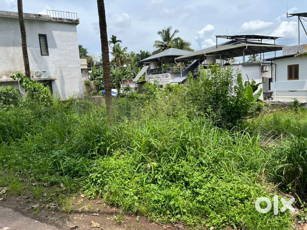 4 cent house, Plot KAKKANAD Chamba Mukku