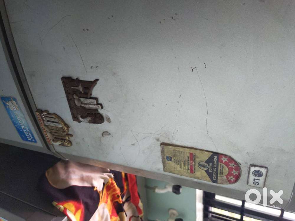 Lg double door