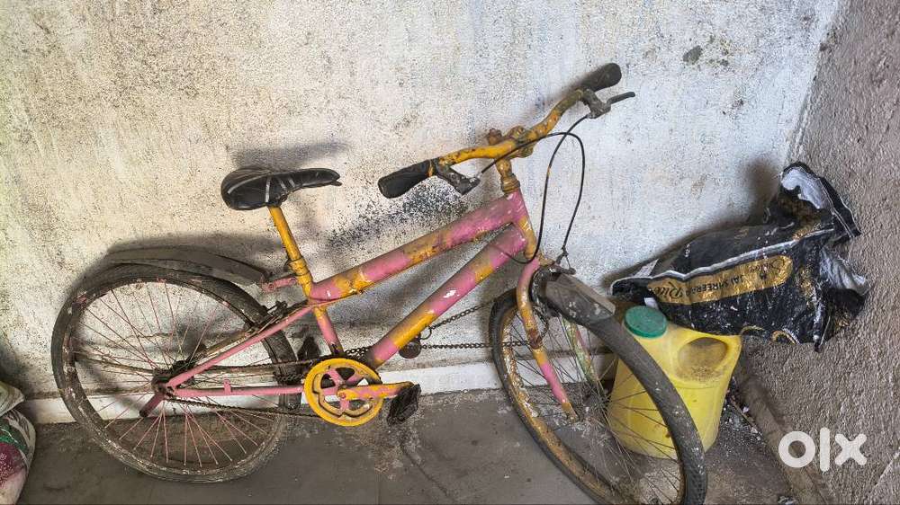 Best and low price cycle