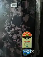 Double door Lg