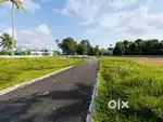 3,4,5 and 10 more Cent. Aluva, Alangad, Kunnelpalli House Plots.