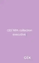 Collection Executive