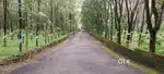 540 CENT LAND FOR SALE AT ANGAMALY MOOKANNOOR