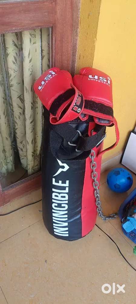 Boxing bag whit boxing gloves and chain