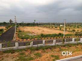 RESIDENTIAL PLOTS FOR SALE ATTACHED TO HIGHWAYS