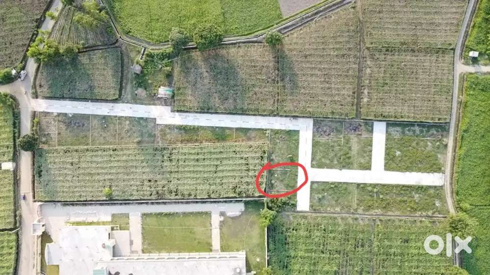 Plot no 10 - A