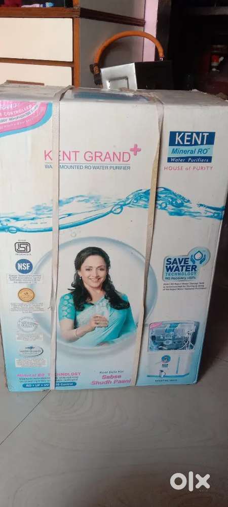 Water purifier