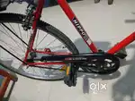 Brand new hippo cycle