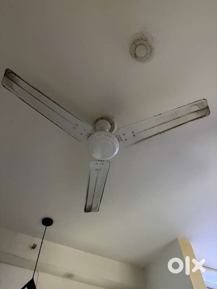 Khaitan ceiling fans 2 whites