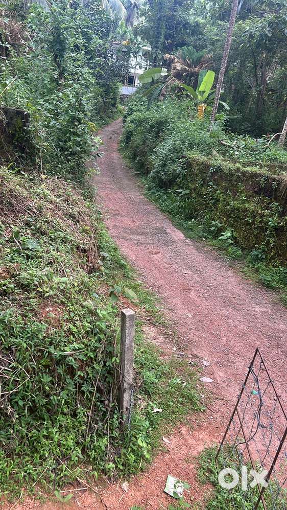 This land very usefull for making home