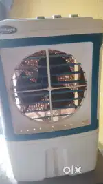 Perfect conditions  cooler
