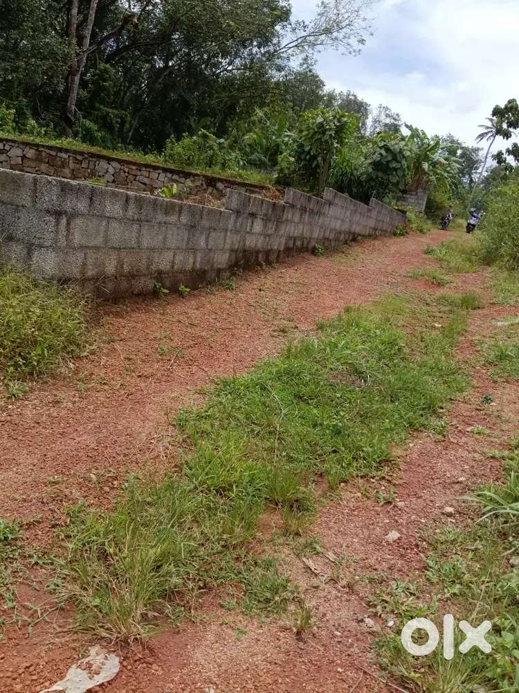 കുറഞ്ഞ വിലയ്ക്ക് ഭൂമി