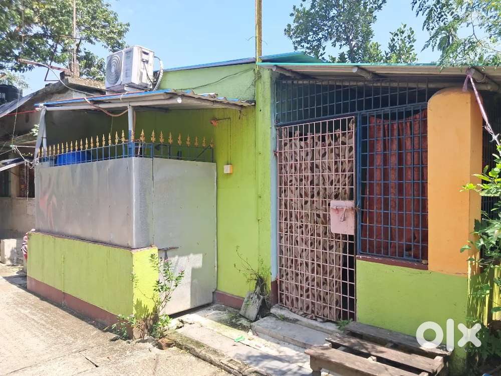 Urgent sell korte chai