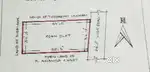 Open plot with Teak trees
