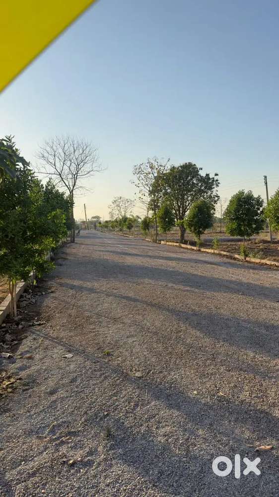 Naya Raipur se laga hua