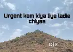 Urgent kam kiya liye ladie chiyaa
