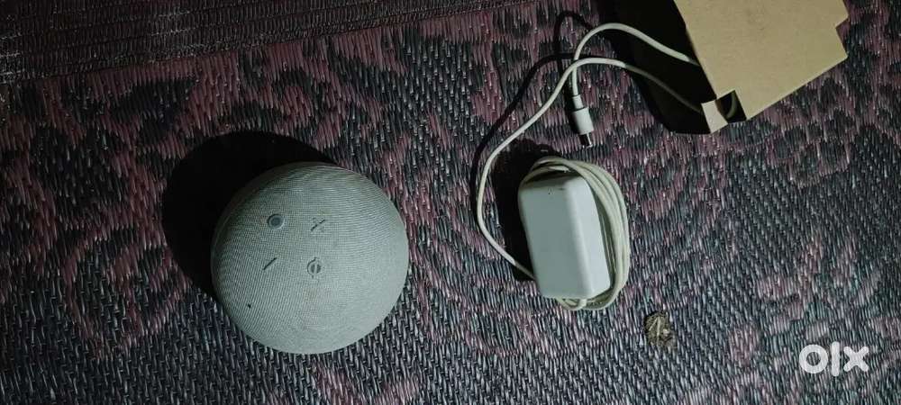 Alexa echo dot 5th gen