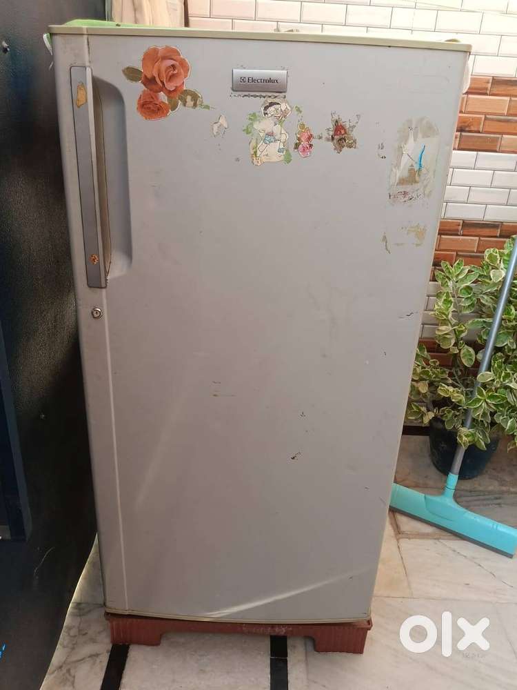 Electrolux single door fridge.