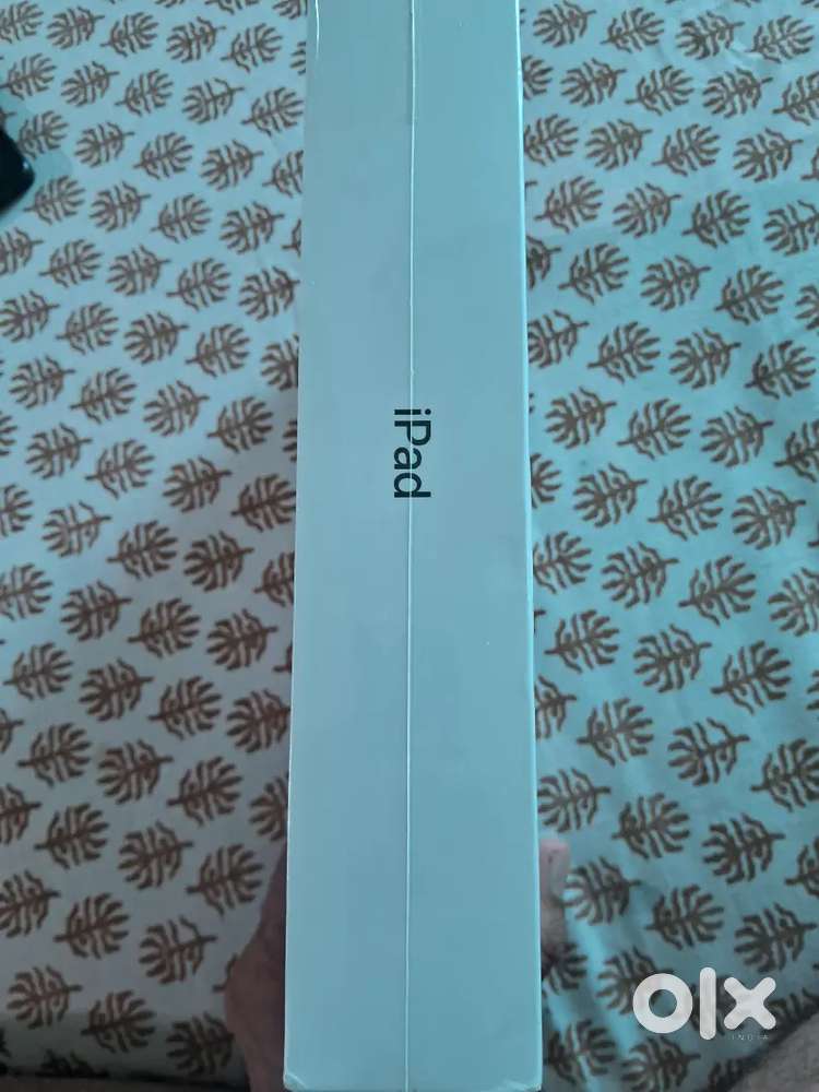Apple Ipad