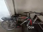 Gang cycle