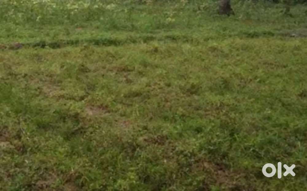 2 3/4 cent land sale in Vytilla, opp wellcare hospital