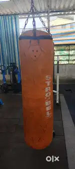 Punching bag & speed bag