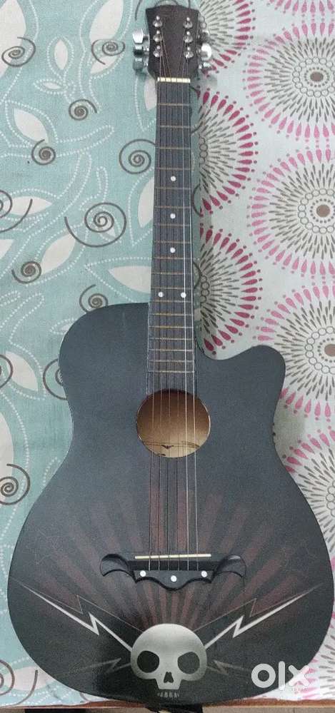 Professional guitar