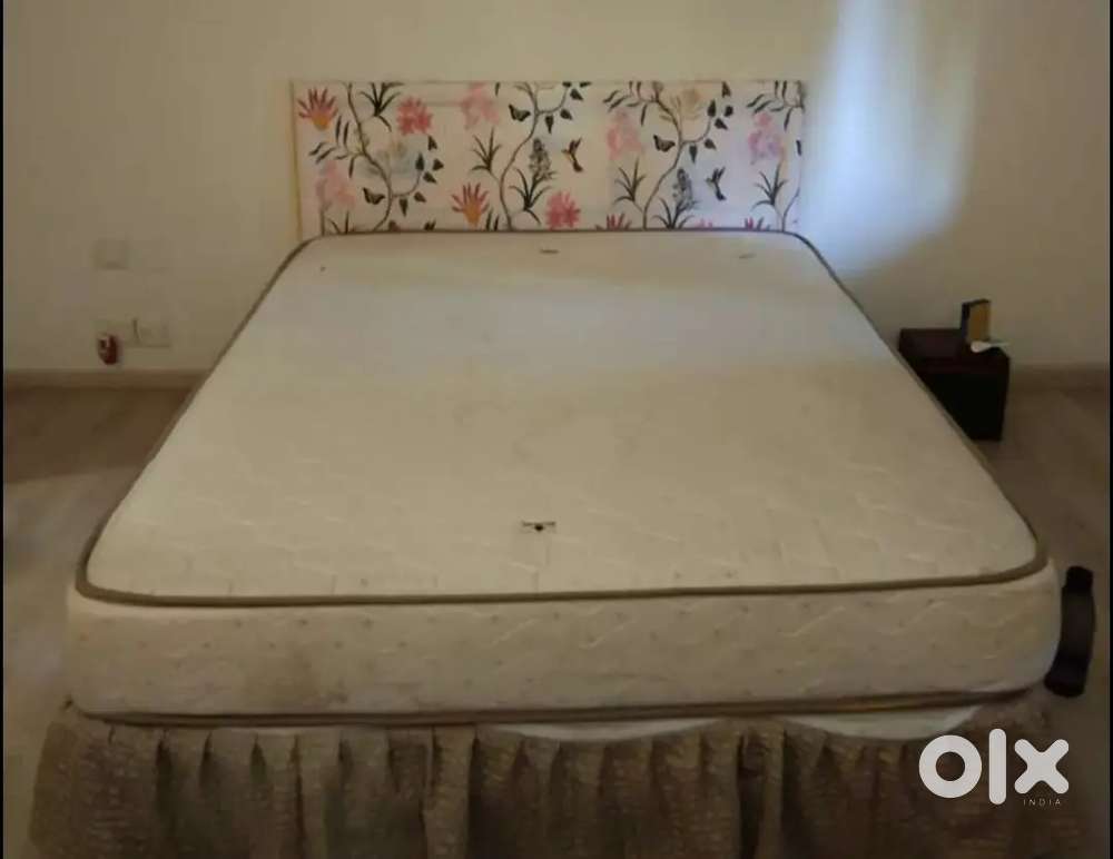 Bed Frame along with spring Mattress