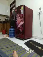 New 2 mont old