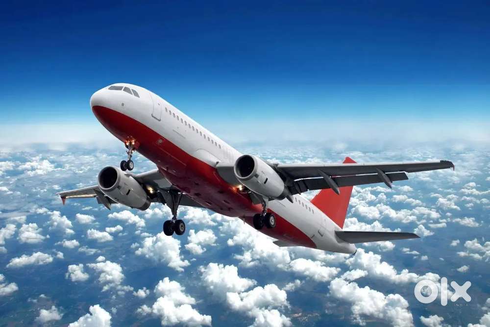 Ground Staff jobs in indigo Airlines apply fast
