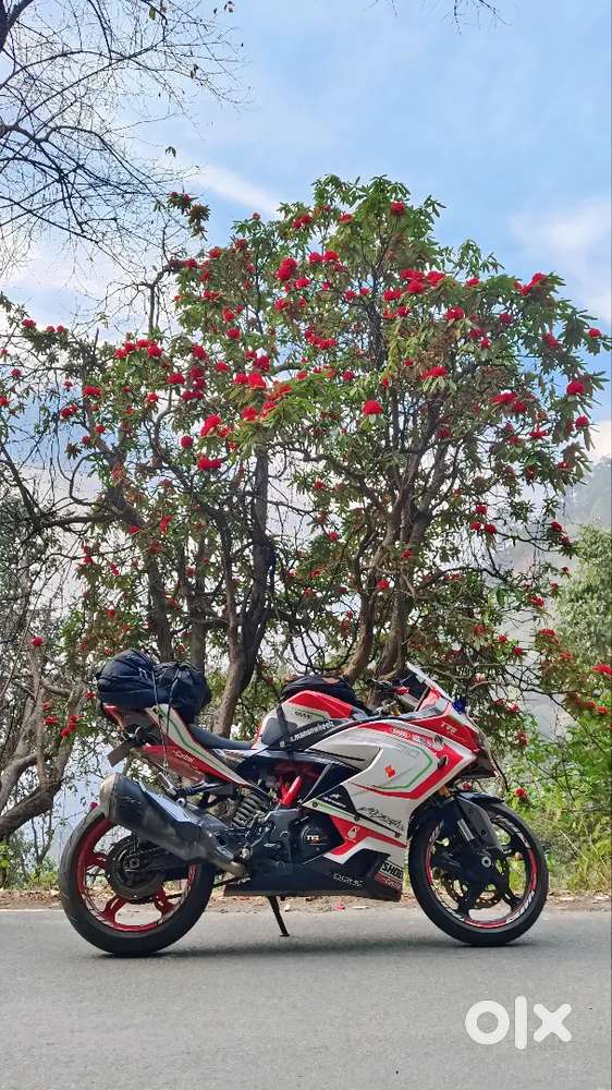 Apache RR310 Limited Edition