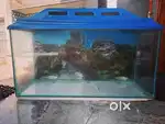 Glass aquarium for fishes