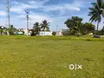 DTCP SITE FOR SALE NEAR KARAMADAI