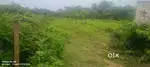 9 ganda Land area