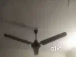 Crompton Greaves ceiling fan 48 hs 1star brown