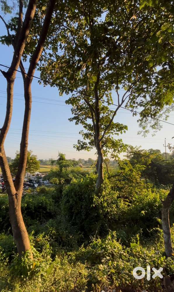 Prime 1 bigha north-facing plot on the main highway available for rent