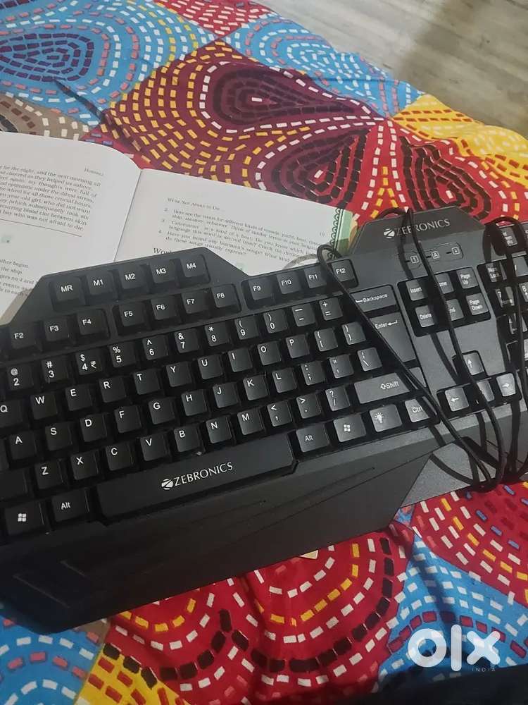 Zebronics Keyboard