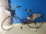 LadyBird Breeze Cycle for Girls/Women with Basket and Integrated