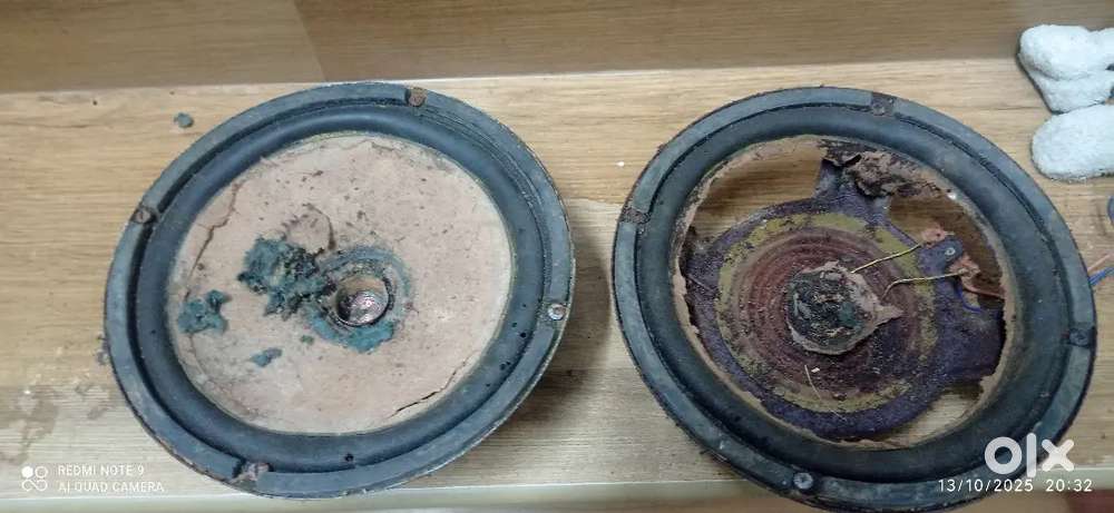 Bolton SPEAKER