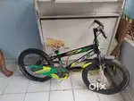 It a gear cycle 18 inch