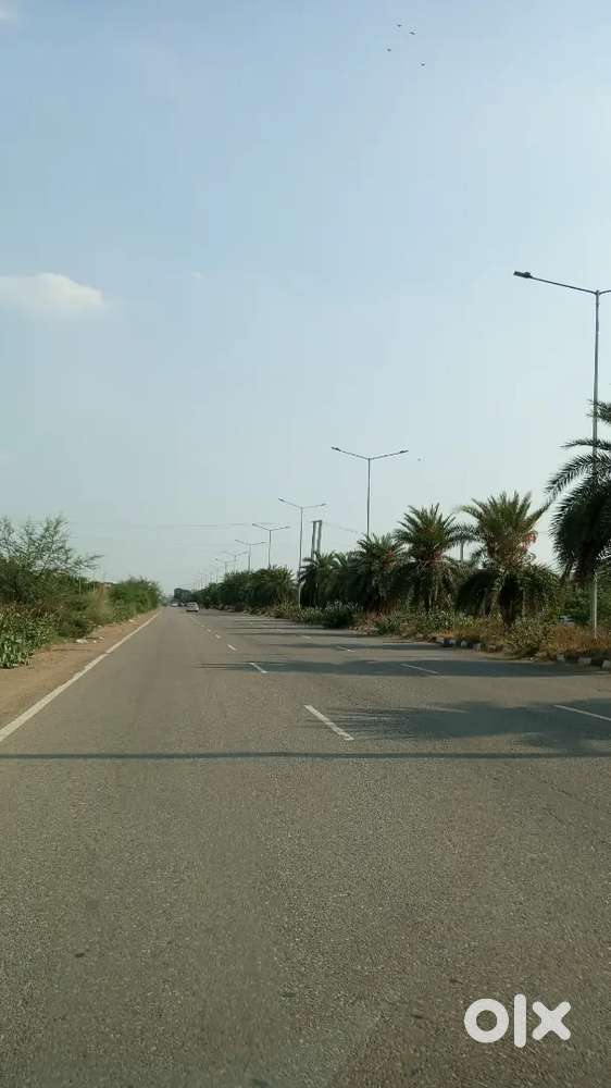 Plots for sale in sector 123 sunny enclave airport road kharar