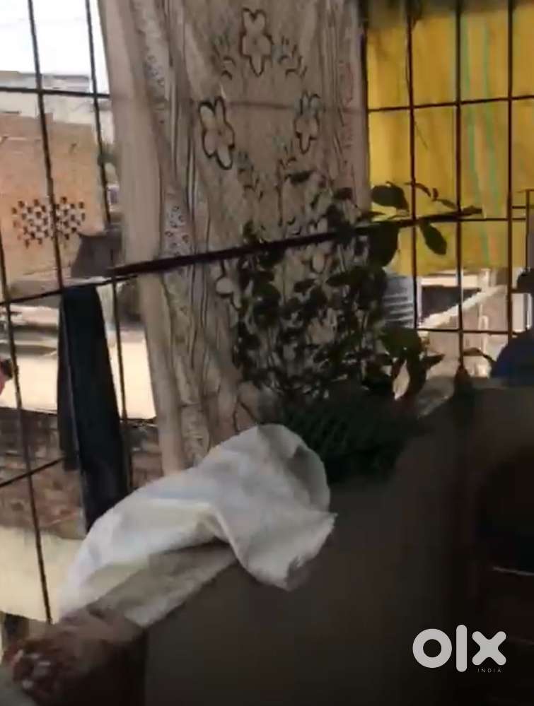 Bharti Vidyapeeth & PICT college